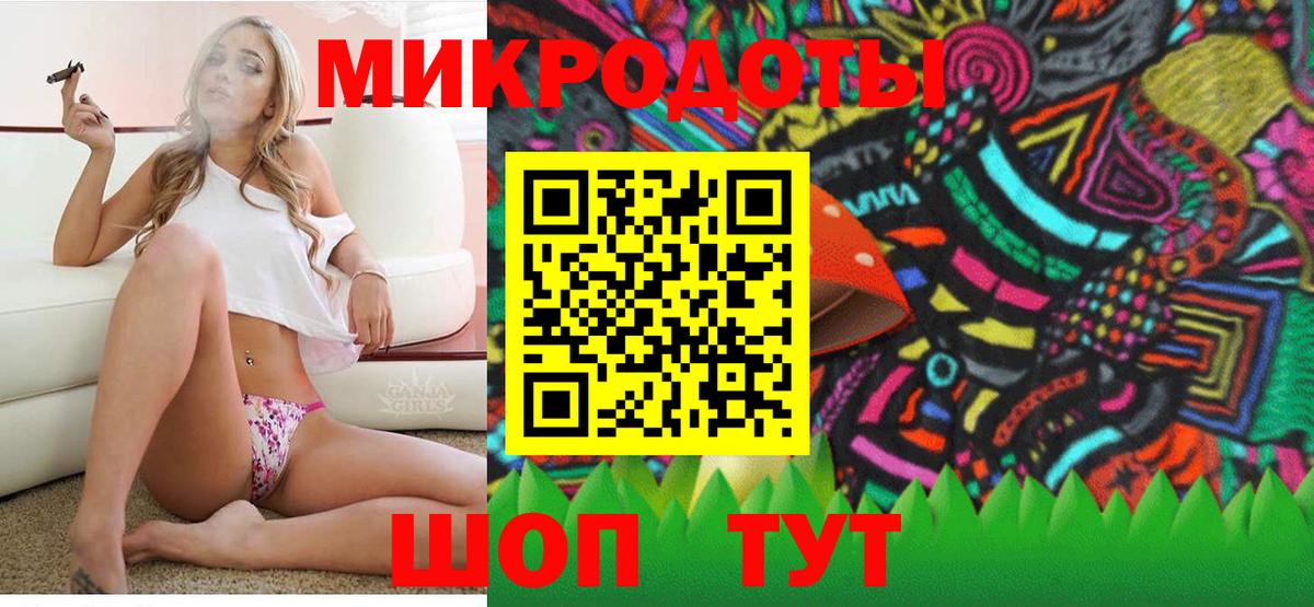 Псилоцибиновые грибы Cubensis Верхняя Салда
