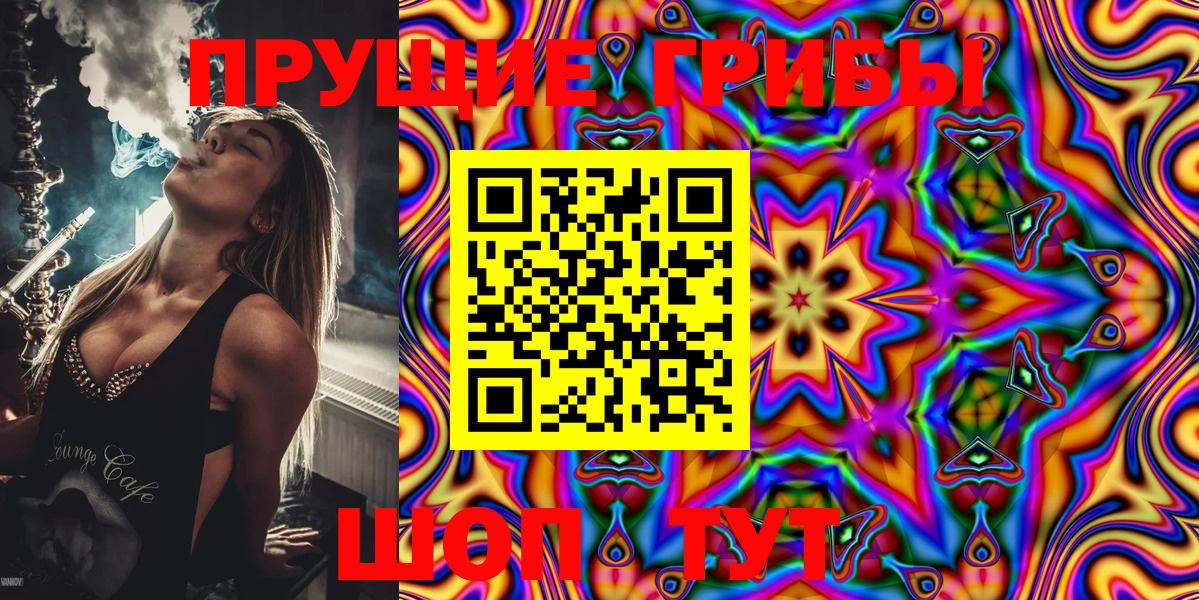 Верхняя Салда  Псилоцибиновые грибы Psilocybine cubensis  Вход с VPN 